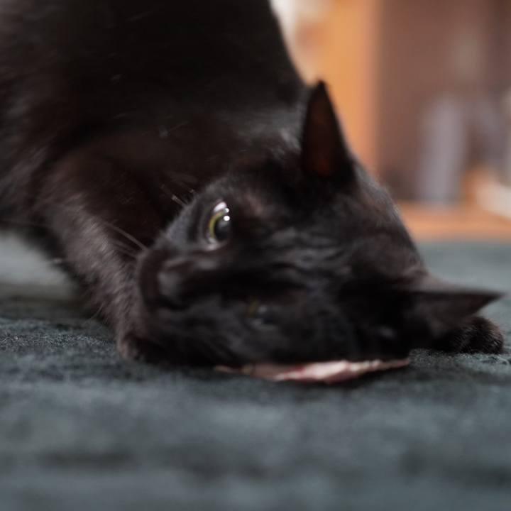 1b5561c9 bb64 4928 b6f5 3217c3a0b4ed 1576193910394