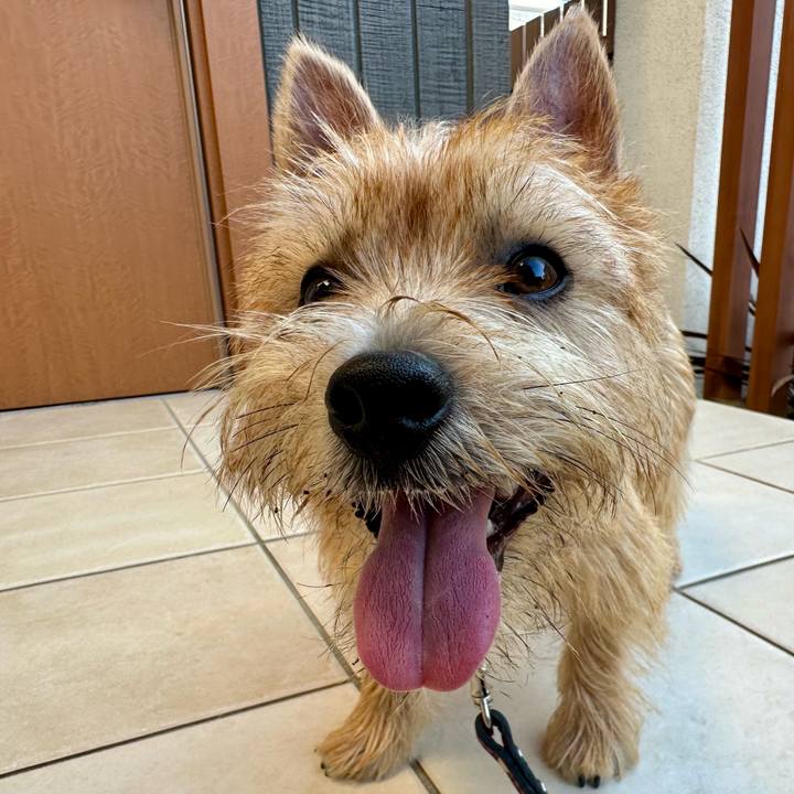 1b55851d 7cc4 4f78 a802 d831fce84781 1726326106168