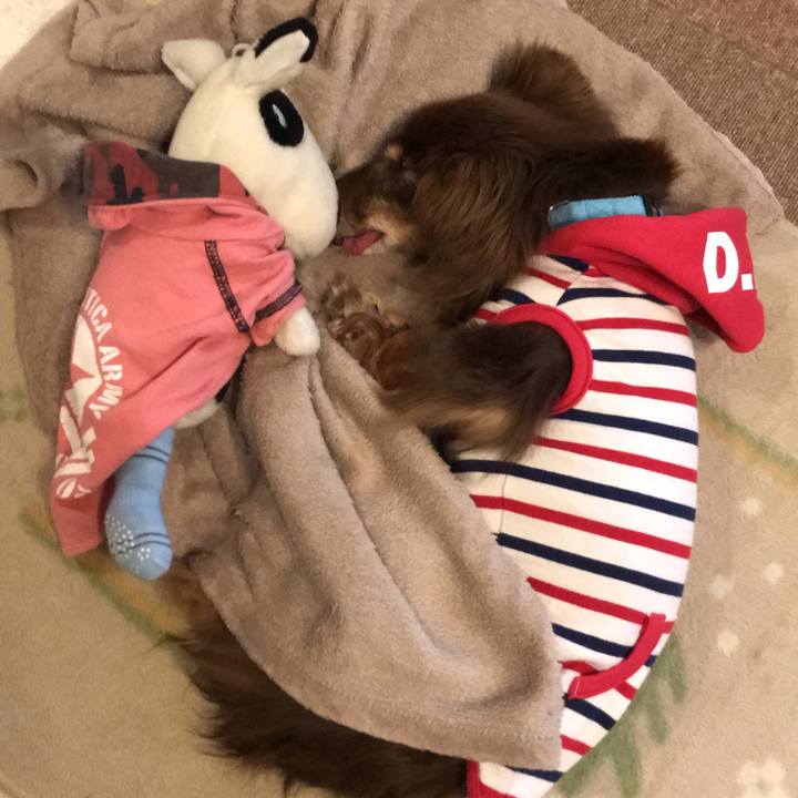 1b5592c2 1e9e 4ef1 b2fd e537011ccdda 1587543174985