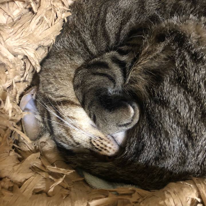 1b55d2a4 2f12 4385 9d5c 38b4385ded7e 1548706150954