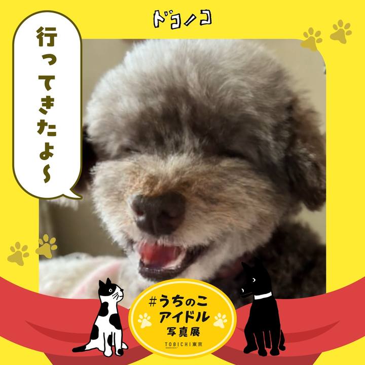 1b560fc9 560f 47ce 9ecb 6980fcf7e580 1761338814013