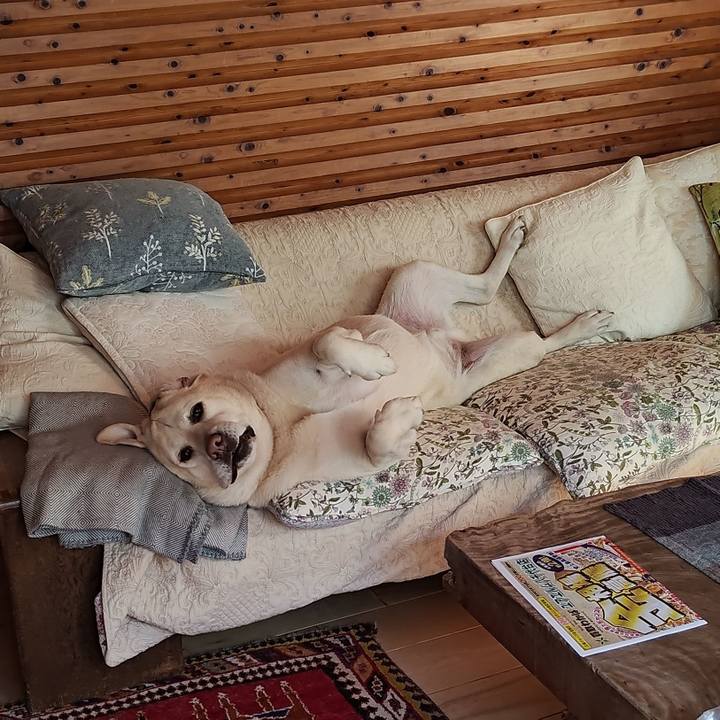 1b561360 0b5b 42ef a505 78eb72225d8d 1733197955612