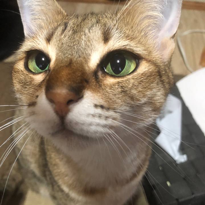 1b56359b f4c4 4c5c 9b4a 01180125acc0 1663618616007