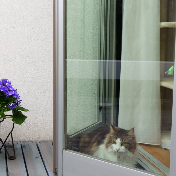 1b56437c 0ca0 460f 80e3 5ab9381efb5e 1648707675659