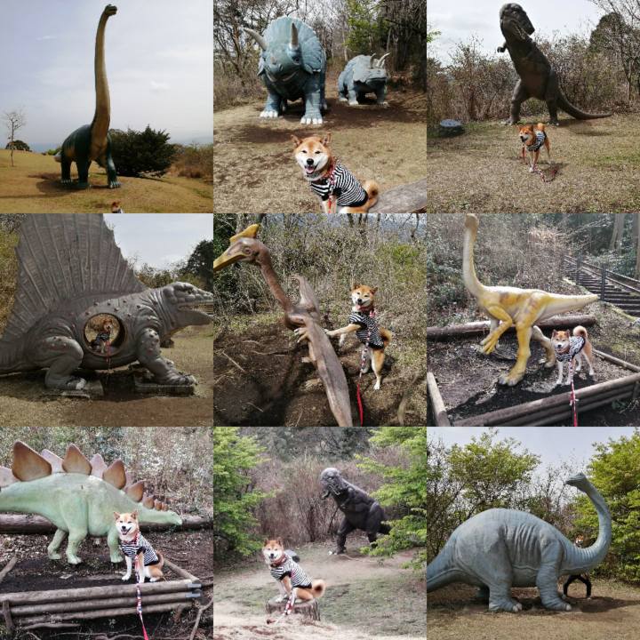 1b5655c8 d6e1 4349 ac85 989a818fdf0a 1647933146027