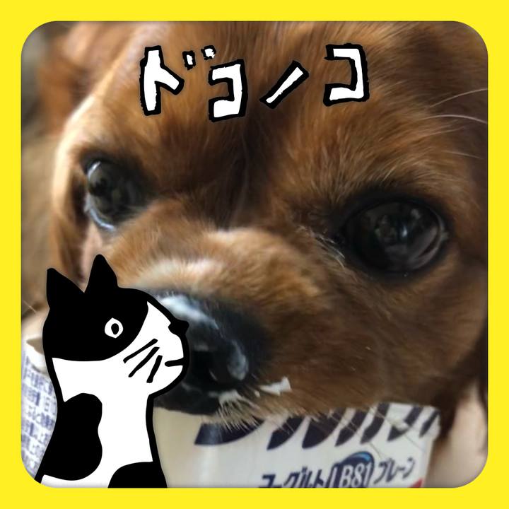 1b567619 5357 4217 9e98 5dd9b0baccf1 1623188176226