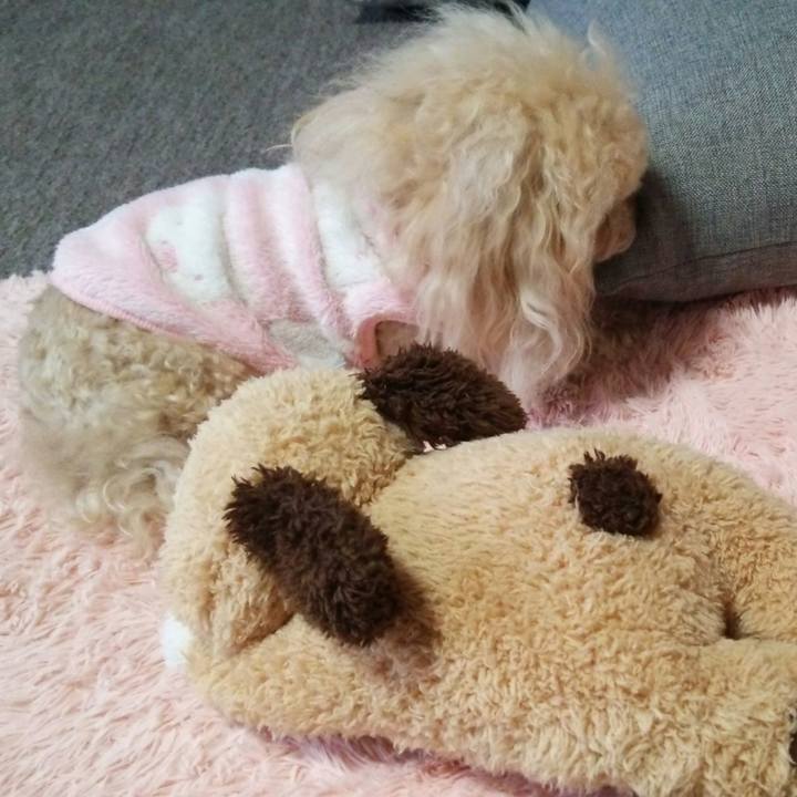 1b56a1cd 5da0 4bdc 916d 42013cf01bac 1551862707459