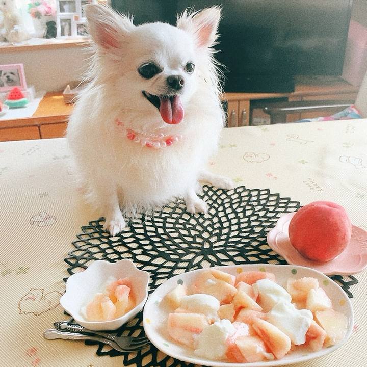 1b56f0c7 461c 4823 8a14 7ed03146ab4f 1752976738779