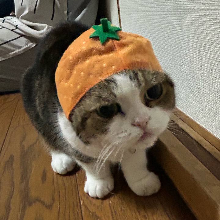 1b56f202 d968 4e6f 8389 b2033997fc70 1761946210782