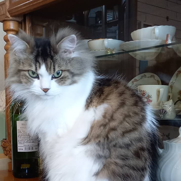 1b57055a f414 49cb 9bf0 8fc0713d341e 1678924123926