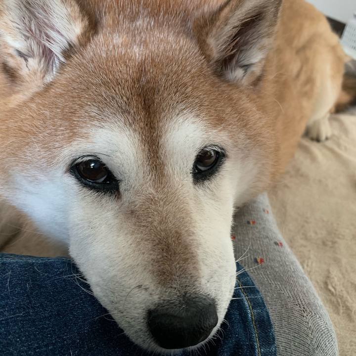 1b57514f 587d 4cff 8cba 8a8bc3ca8805 1567916450030