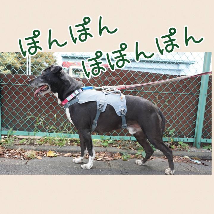 1b575983 91d0 49d3 9bd1 1f484bb640a8 1759018950472