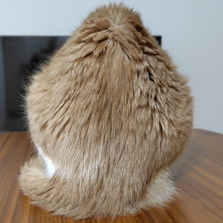 1b5773e8 1e2a 4f46 ab80 c6a1788a9858 1765015131736