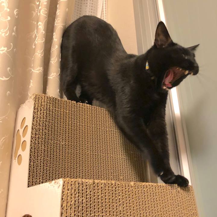 1b57bc6e 0dae 433e 9e92 046702ebf072 1521115834887