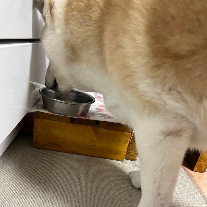 1b57df54 01fa 4c1b b5ba 30c1dbb72cd3 1680343600138