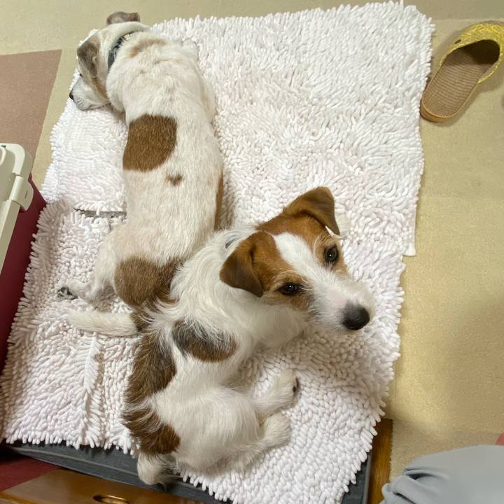 1b57df7f fea7 4cbe 83d9 33c0eef31dae 1693142807861