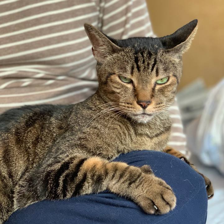 1b57fbc2 3201 4aa4 aaad 16ed68a2978a 1570843485920