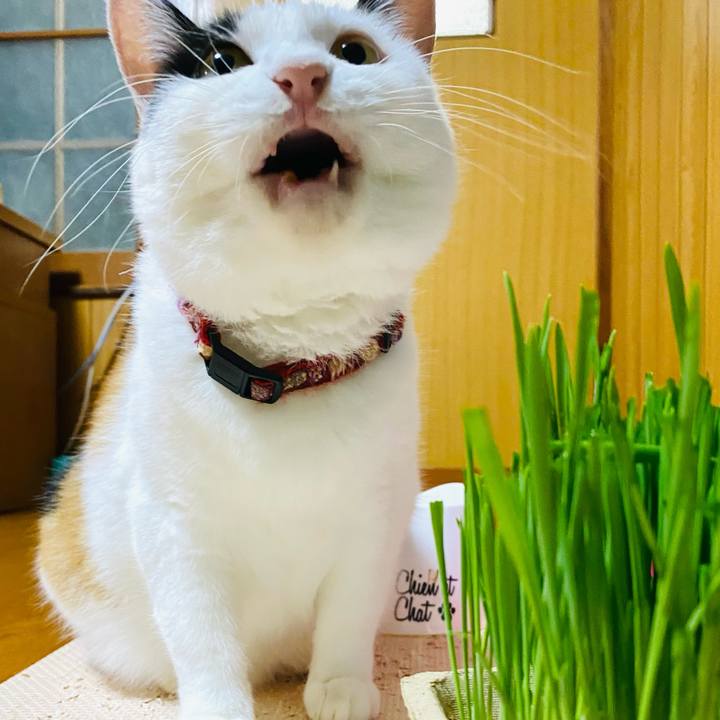 1b5809bf 6725 4bd0 90f9 bb6678d7f34a 1694180057099