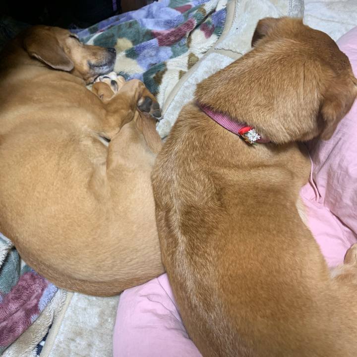 1b581585 0860 4a14 983a 0a3143951594 1619690932018