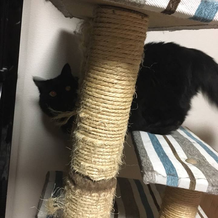 1b5825b5 2d0c 4b93 92bf a213ba9cdd5d 1521206114098