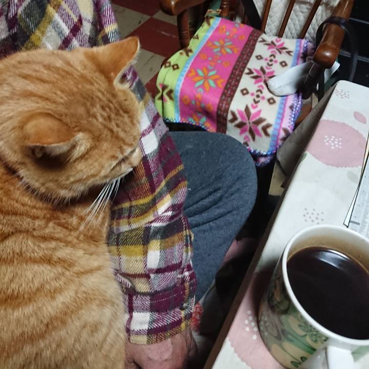 1b58970b cd00 42f3 8305 04c6515ad8eb 1577652528120