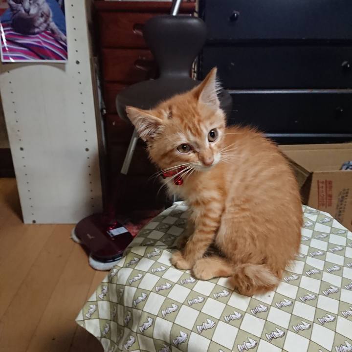 1b58afe5 eabe 45fc a173 711ac939c38c 1628765498048