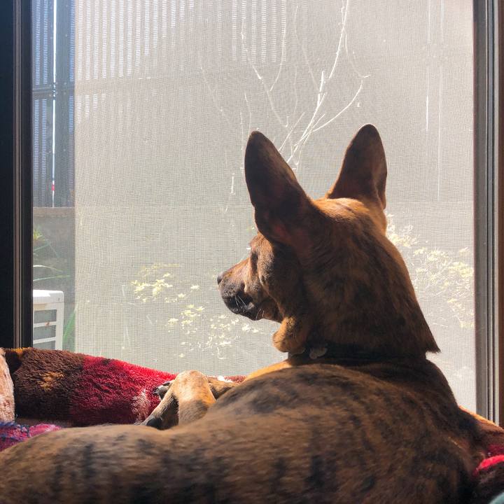 1b58ba4d 0f7a 42bc 9d85 c88cd1415562 1583378684889