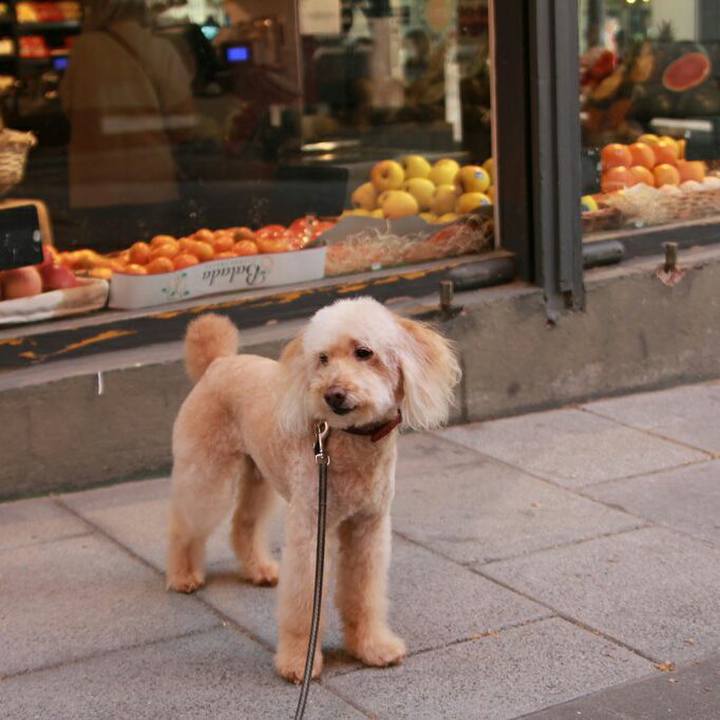 1b58d00f 2361 418e 82cc f2f07abf262a 1591445016827