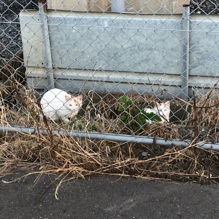 1b591b18 eb89 4c3d b170 368a6bbad4f9 1621772679961