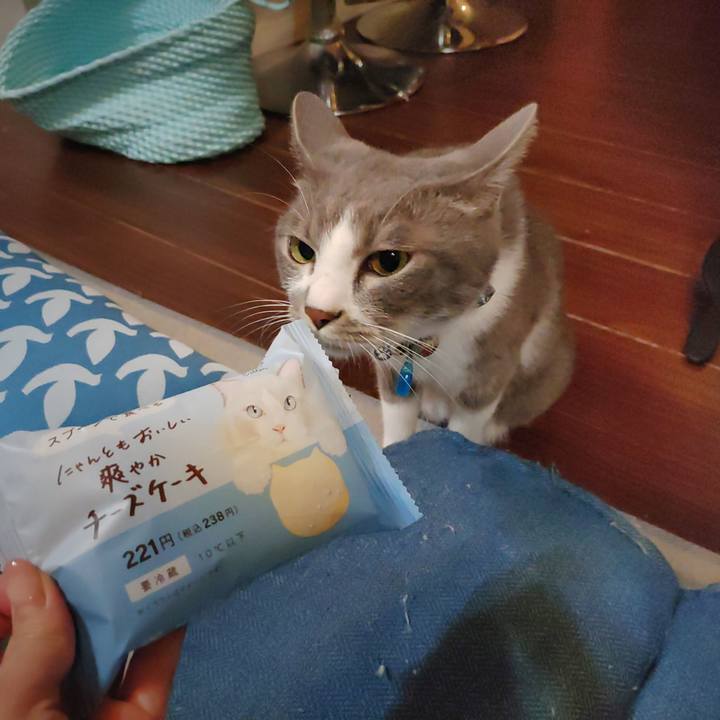 1b5965b8 4470 43d9 ad73 4ad56b2db794 1692019604746