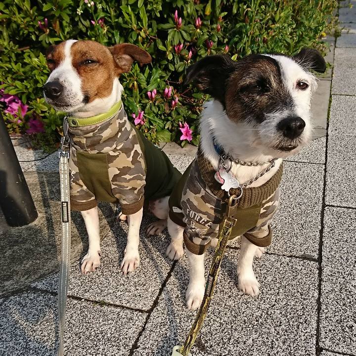 1b59670f ebb9 4101 9e53 838f4819117c 1586989001967