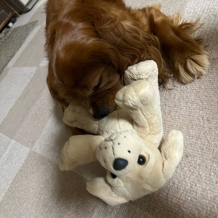 1b5983bc 7ee4 4bae aaa8 95073cacbed9 1722033650152