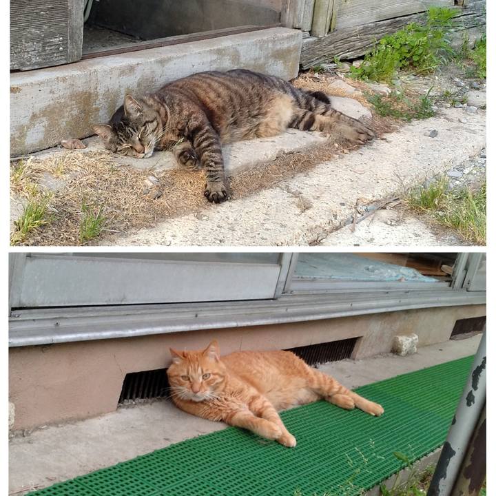 1b598855 8b02 495d b374 c848dd1dd010 1718188127214