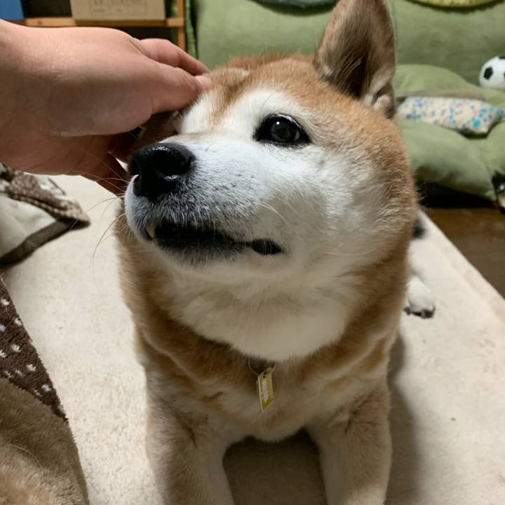 1b59a88e 3e23 4550 afdd 3811f16571dc 1579614514738