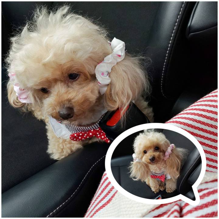 1b59c783 95d4 43b5 b66f b49068683b50 1585399907271