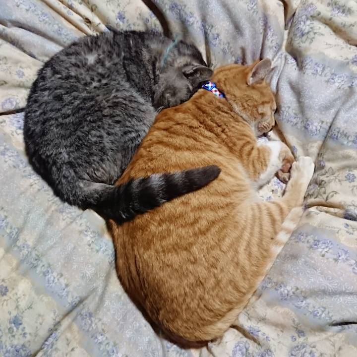 1b59f8a6 dc02 4448 a474 ce423470b335 1576670052780