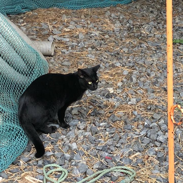 1b5a1516 5ce9 4020 add7 15fafe5af89f 1538571450520