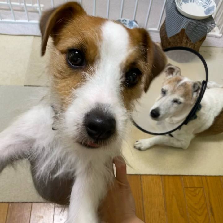 1b5a375d 241e 4009 8d92 e2835035322b 1666652060963