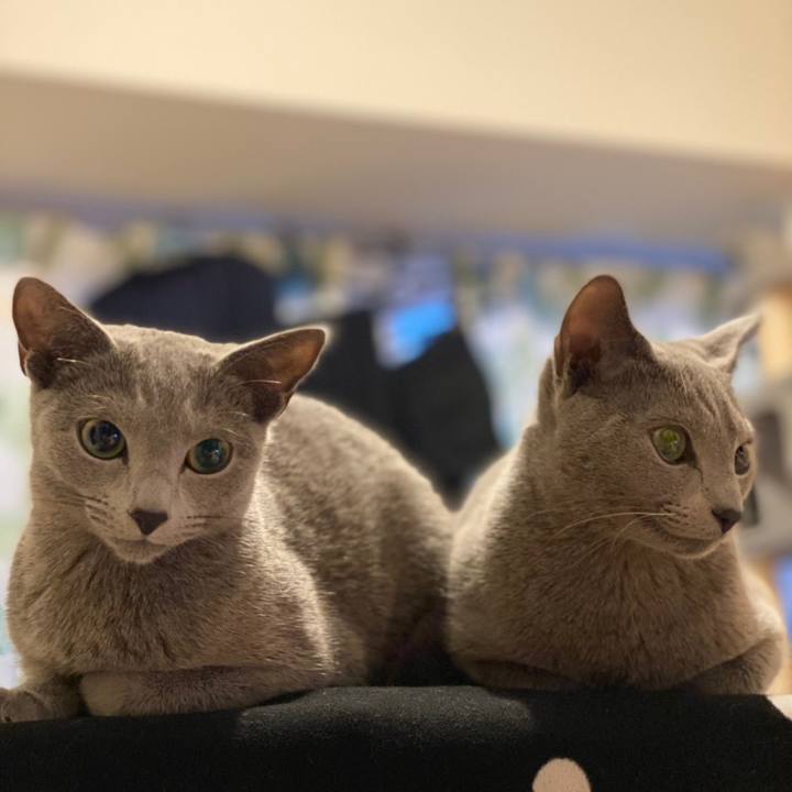 1b5a39fb b2e9 4201 b102 79b9fb565d9e 1611718269905