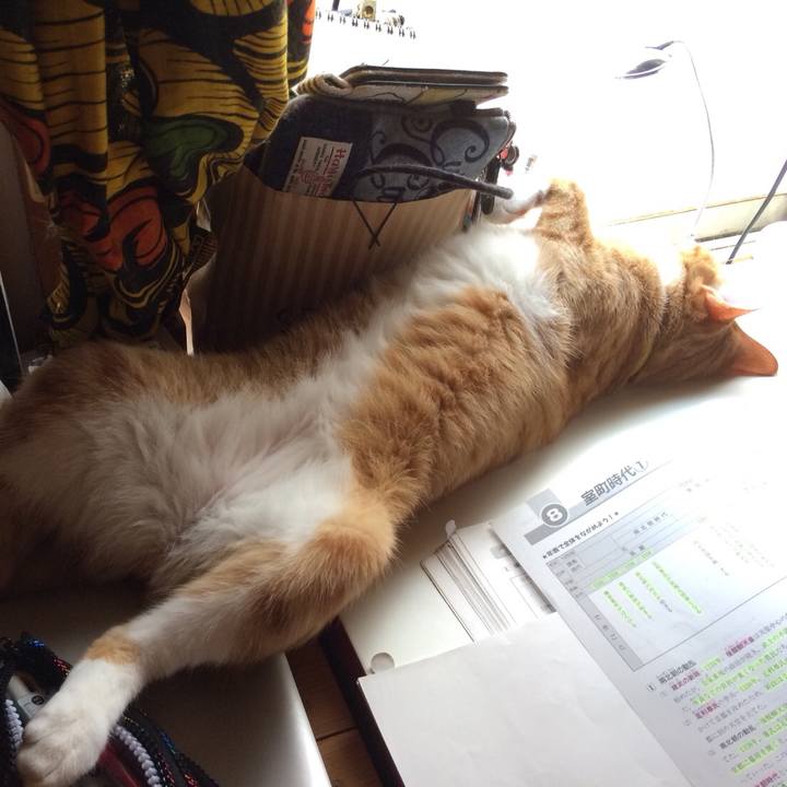 1b5a53f2 f07c 4e0e add6 fc6a601d3807 1532348407449