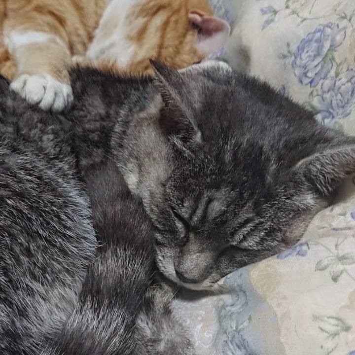 1b5a905c a3c1 420d 850e 88c46c26bf80 1607164689925