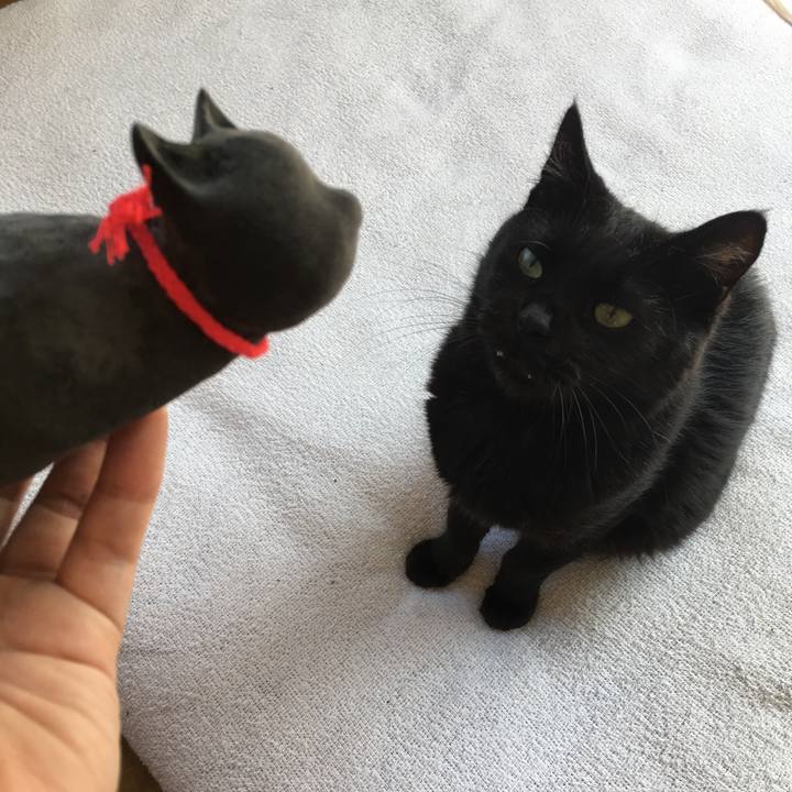 1b5ad2ea 066f 4121 acb4 f9ddb509266a 1562458093132