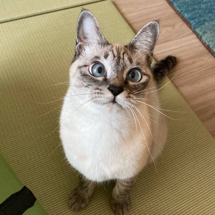 1b5af7b8 06f4 4346 944e 6ec055aead9b 1605612679904