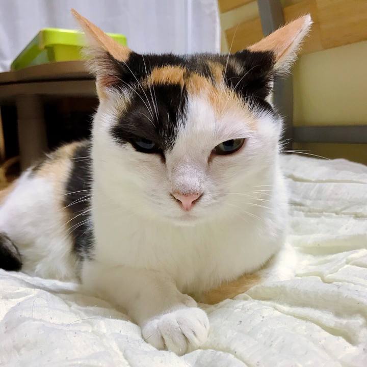 1b5b1861 7385 4f74 9b31 6bd925a03545 1508422970066