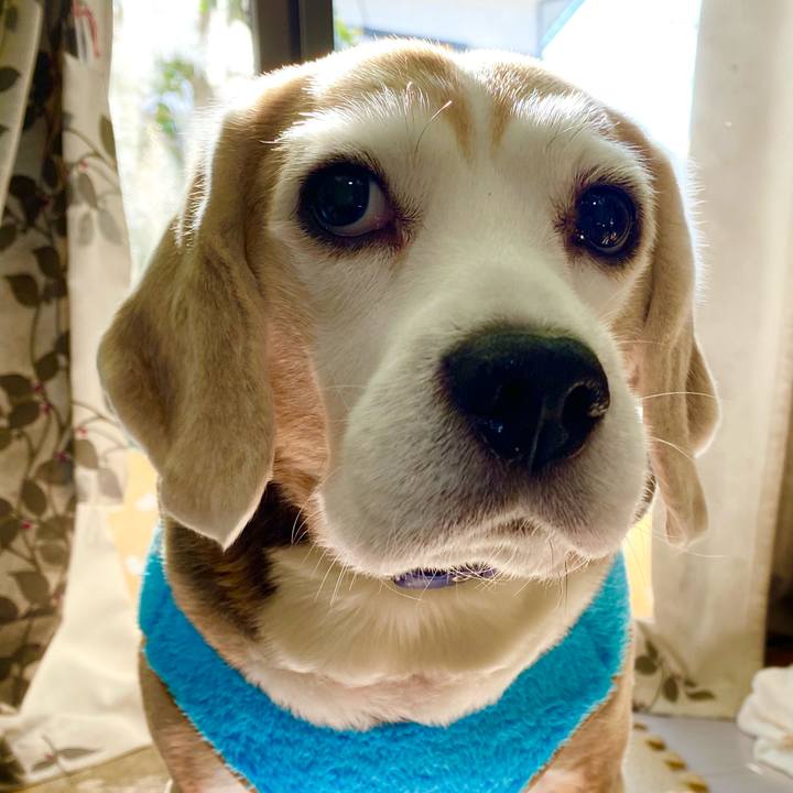 1b5b1abc 6e4e 467e a0db 3b388f53f972 1608694967869