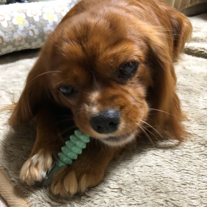 1b5b2e35 832f 41ec 8831 a296cd32f659 1527420983870