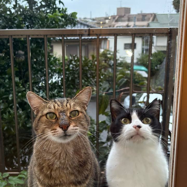 1b5b3699 bb06 458a ac57 d1e3c43f6ed0 1761119795801