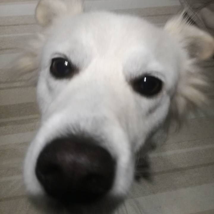 1b5b4271 5652 4c68 8e25 49afa80d7a56 1511488242713