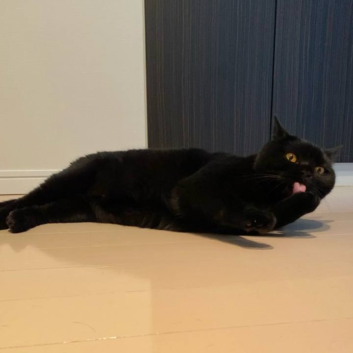 1b5b5875 85ac 4d66 a7f2 781fe974dc1c 1622973569389