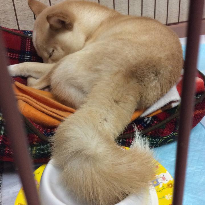 1b5b8243 5a93 41ef 9dc0 8eb9475016a8 1509875992168